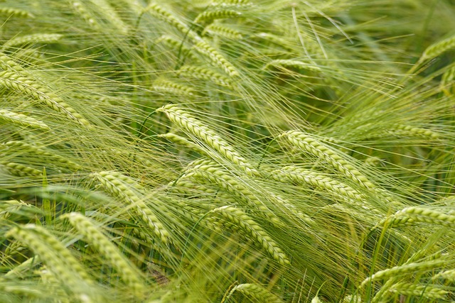 Close up of battery storage unit installed beside grain store with monitoring display